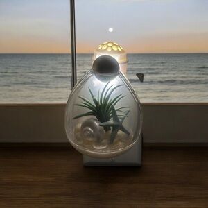 Bath and Body Works seashell starfish and sand wallflower.